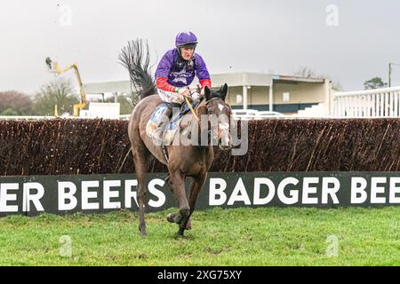 Race 8 at Wincanton Racecourse, January 8th 2022 Stock Photo