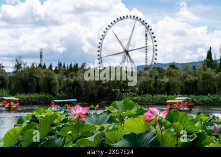 Kunming, China's Yunnan Province. 7th July, 2024. Visitors on boats enjoy lotus flowers at Daguan Park in Kunming, southwest China's Yunnan Province, July 7, 2024. Credit: Hu Chao/Xinhua/Alamy Live News Stock Photo