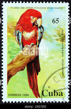 CUBA - CIRCA 1994: A stamp printed in Cuba from the '55th anniversary of Havana Zoo' issue shows Green-winged Macaw (Ara Chloroptera) Stock Photo