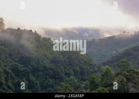 fog in the mountains.this photo was taken from Chittagong,Bangladesh. Stock Photo