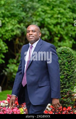 David Lammy MP - Secretary of State for Foreign, Commonwealth and ...