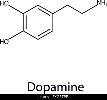 Chemical formula of dopamine. Organic chemistry. Vector. Stock Vector