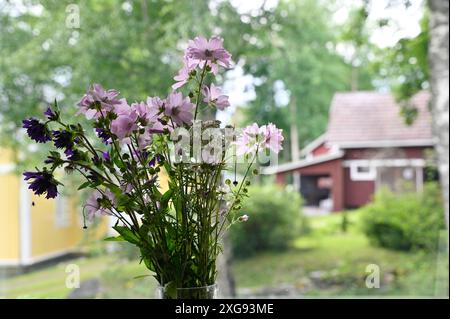 wildflowers in a vase at the window, outside the window the landscape of a Finnish village is blurred Stock Photo