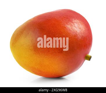 fresh ripe whole mango fruit isolated on white background Stock Photo