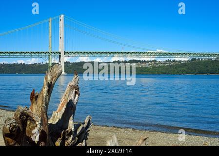 The Tacoma Narrows Bridge is seen across the Tacoma Narrows channel with driftwood on the beach in foreground; focus is on the driftwood. Stock Photo