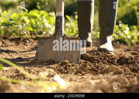Farmer digging soil with shovel on sunny day, closeup Stock Photo
