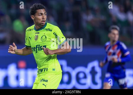 Sao Paulo, Brazil. 07th July, 2024. SP - SAO PAULO - 07/07/2024 - BRAZILIAN A 2024, PALMEIRAS x BAHIA - Palmeiras player during a match against Bahia at the Arena Allianz Parque stadium for the Brazilian A 2024 championship. Photo: Marcello Zambrana/AGIF Credit: AGIF/Alamy Live News Stock Photo