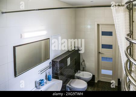 White toilet and bidet, dark brown tiled floor, light tiled walls, mirror, light fixture above mirror, sink with soap accessories, doors, red towel, t Stock Photo