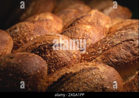 Freshly baked loaves of bread and crispy buns shot close-up Stock Photo ...