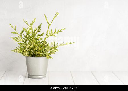Empty white wooden table with green plant pot and white concrete wall texture background. Copy space, display montage for product Stock Photo
