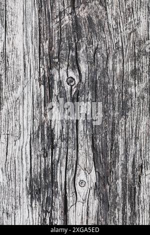 Old wood texture, gray wooden background naturally weathered Stock Photo