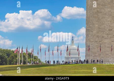 American flags at sunny day and Capitol Building in background Stock Photo