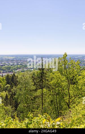 Cityscape view from a hill with lush green trees Stock Photo