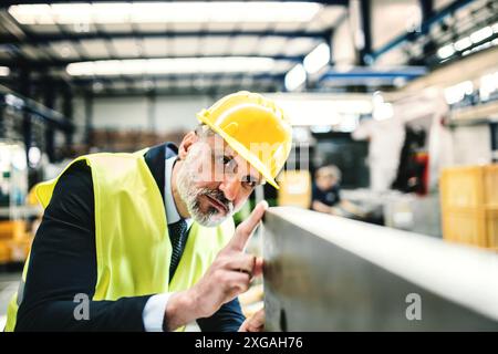 Portrait of engineer controlling machine in modern industrial factory. Manufacturing facility with robotics, robotic arms and automation. Storing Stock Photo