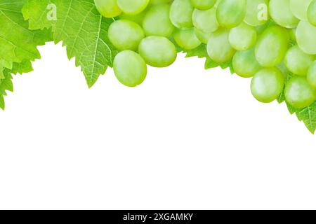 Green grapes and vine leaves isolated on white background Stock Photo