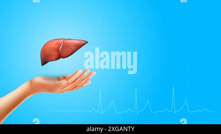 Liver on Hand with Heartbeats on Blue Background Stock Photo