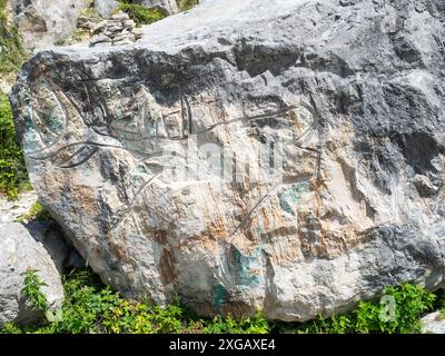 Fish rock carving, Tout Quarry Sculpture Park, Tout Quarry Nature Reserve, Isle of Portland, Dorset, England, UK, July 2021 Stock Photo