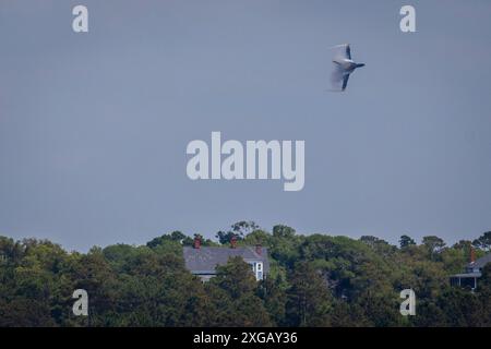 The Blue Angels perform over Pensacola airbase in Pensacola, Florida USA Stock Photo