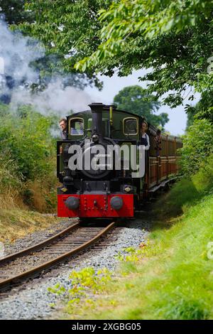 No 7, Tom Rolt, Tal y Llyn, Narrow Gauge, Steam Locomotive,. Stock Photo