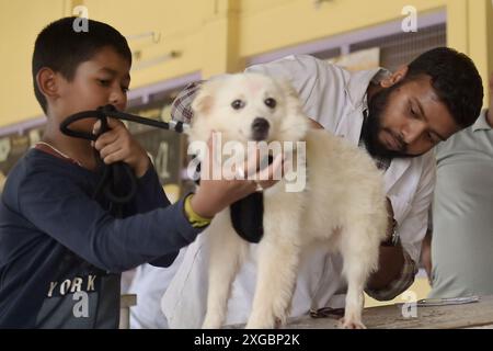 A dog is getting treatment and a vaccination on World Zoonoses Day in the State Veterinary Hospital at Agartala. World Zoonoses day is observed on July 6th each year to bring awareness about diseases that can be transmitted from animals to humans and to commemorate the day when Louis Pasteur successfully administered the first vaccine against Rabies virus on July 6, 1885. Agartala, Tripura, India. Stock Photo