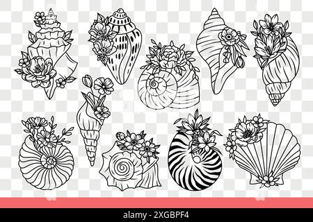 Seashells of sea inhabitants and underwater animals with flowers. Beautiful seashells from clams and oysters or mussels found on ocean shore with tropical beach. Hand drawn doodle. Stock Vector