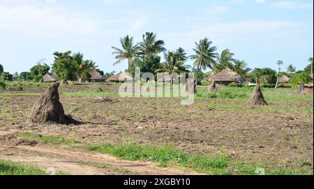 Small village with mud huts, New Mambone, Inhambane, Mozambique. Ant hills in the foreground.  Palm trees and other trees dispersed in the area. Stock Photo