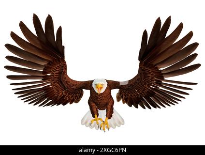 3D rendering of a bald eagle isolated on white background Stock Photo ...