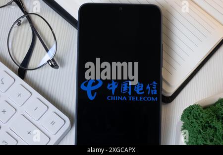 New York, USA - 11 June 2024: China Telecom Logo on Phone Screen, Company Icon. Stock Photo