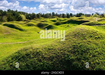 France, Meuse, Fort of Vaux, remains of bombing Stock Photo