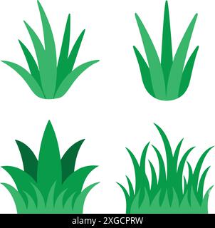 Grass Set Different types on white background Stock Vector