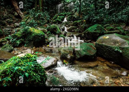 A beautiful view on a scenic river and waterfall in a utouched tropical rainforest at the slope on Arenal volcano in Central Costa Rica. Stock Photo