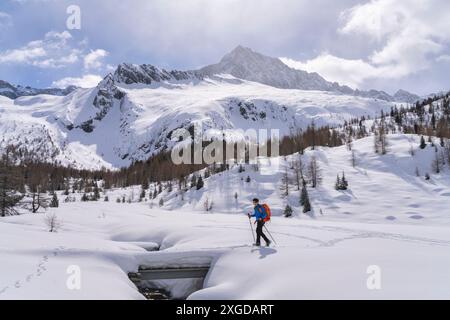 Hiking in Adamello park in Winter season, Vallecamonica, Brescia province, Lombardy district, Italy, Europe Stock Photo