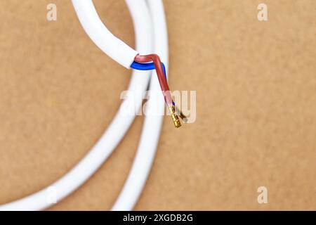 Two electrical wires with gold-plated terminals. The cables are red and blue and are insulated with a white jacket on a brown paper background close u Stock Photo