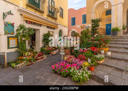 View of flower display outside florists in street, Capri Town, Isle of Capri, Campania, Italy, Mediterranean, Europe Stock Photo