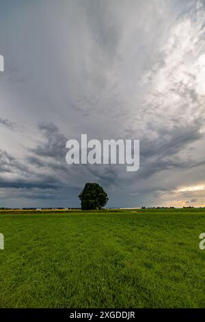 Dramatic cloudy sky over a lonely tree on the plains Stock Photo