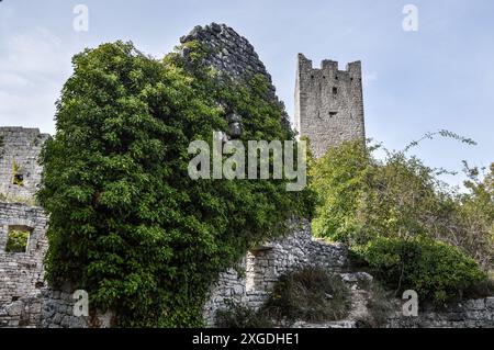 Ancient walls covered with wild vegetation. Dvigrad fortress, Istria Stock Photo