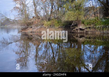 Kopački rit nature park Stock Photo