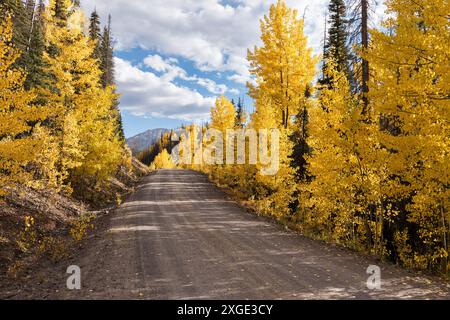 A Rio Grande National Forest road goes through early changing aspens trees. The area is between South Fork Colorado and Wolf Creek Pass. Stock Photo