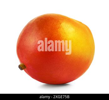 fresh ripe whole mango fruit isolated on white background Stock Photo
