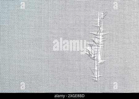 Torn window screen against white background, closeup Stock Photo