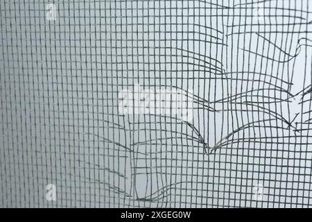 Torn window screen against white background, closeup Stock Photo