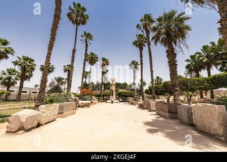 Menphis, museum with Standing statue of Ramsses II, ancient capital at lower Egypt, Giza governorate, Egypt, North Africa, Africa Stock Photo