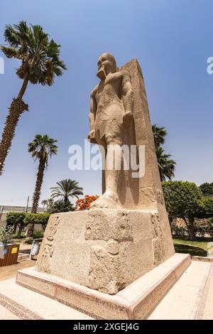 Menphis, Standing statue of Ramsses II, Menphis museum, ancient capital at lower Egypt, Giza governorate, Egypt, North Africa, Africa Stock Photo