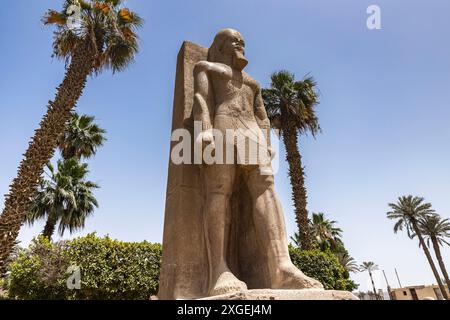 Menphis, Standing statue of Ramsses II, Menphis museum, ancient capital at lower Egypt, Giza governorate, Egypt, North Africa, Africa Stock Photo