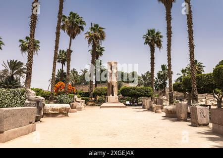 Menphis, museum with Standing statue of Ramsses II, ancient capital at lower Egypt, Giza governorate, Egypt, North Africa, Africa Stock Photo