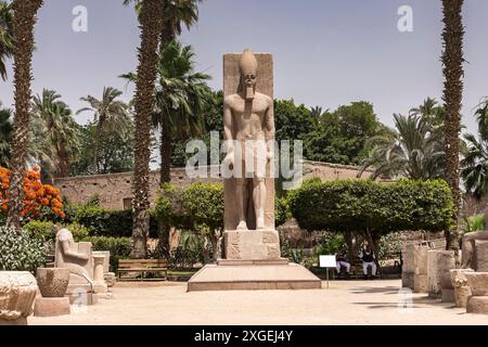 Menphis, Standing statue of Ramsses II, Menphis museum, ancient capital at lower Egypt, Giza governorate, Egypt, North Africa, Africa Stock Photo