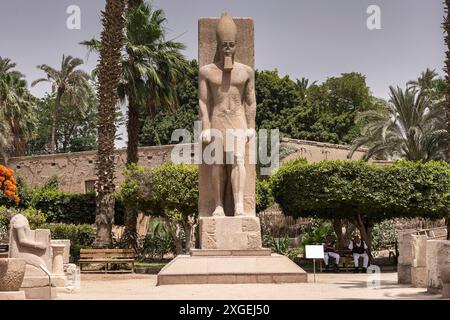 Menphis, Standing statue of Ramsses II, Menphis museum, ancient capital at lower Egypt, Giza governorate, Egypt, North Africa, Africa Stock Photo