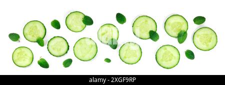 Cucumber and mint panorama on a white background, the concept of freshness Stock Photo