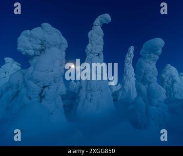 Full moon rising over snow covered winter landscape at twilight, tykky, Kuntivaara Fell, Finland, Europe Stock Photo