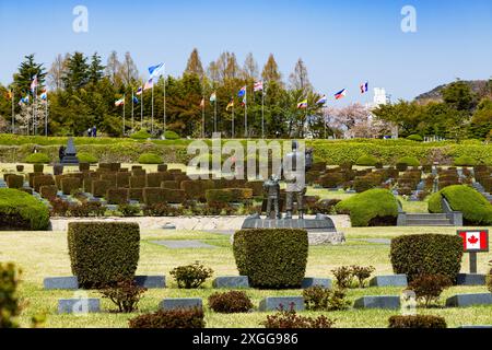 UN Memorial Cemetery, Busan, South Korea, Asia Stock Photo